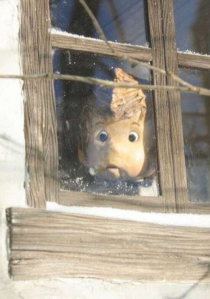 Imagem de destaque 5