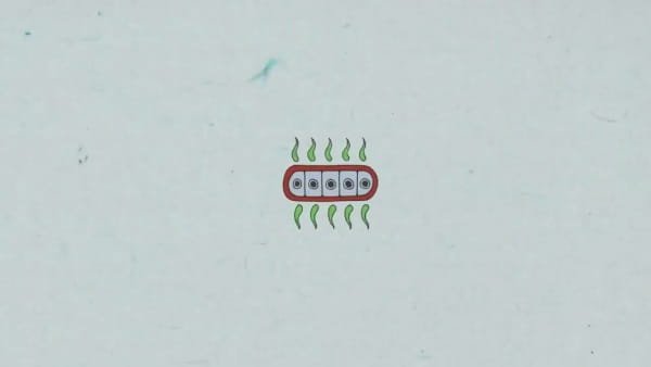 Imagem de destaque 3