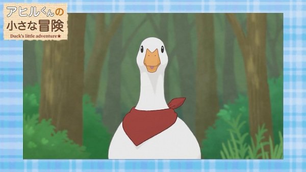 Imagem de destaque 4