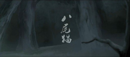 Imagem de destaque 5