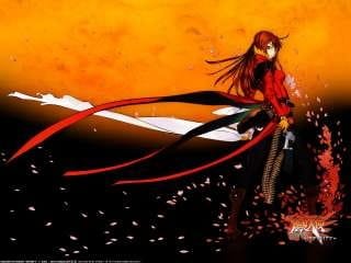 Imagem de destaque 4