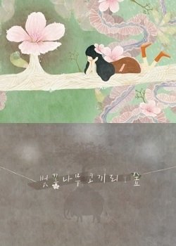 Imagem de destaque 3