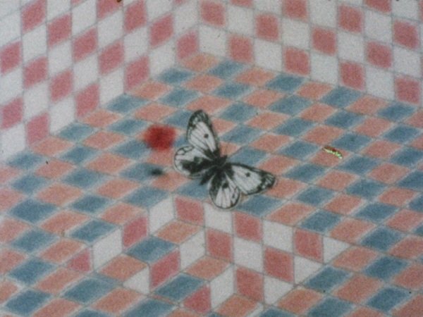 Imagem de destaque 5