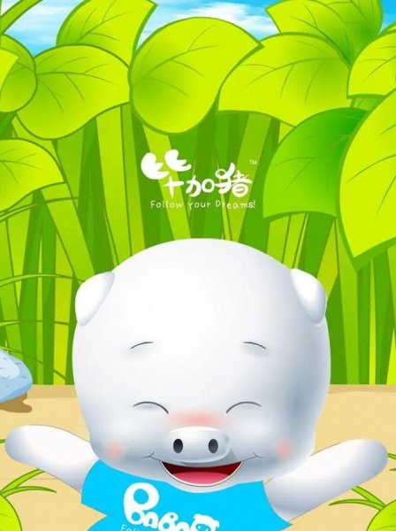 Imagem de destaque 4