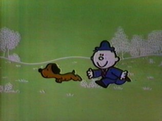 Imagem de destaque 1