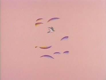 Imagem de destaque 5