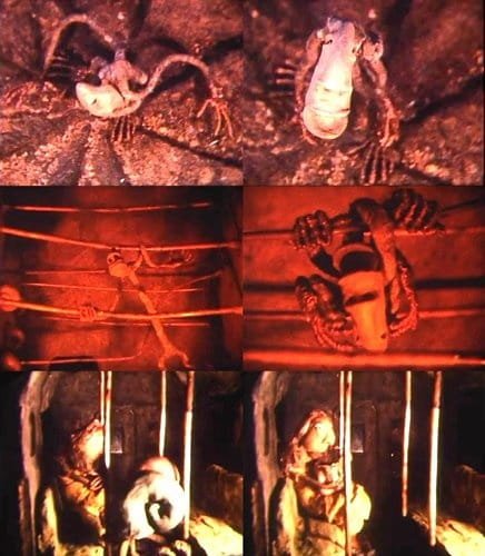 Imagem de destaque 3