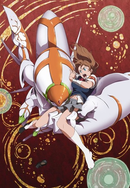 Imagem de destaque 1