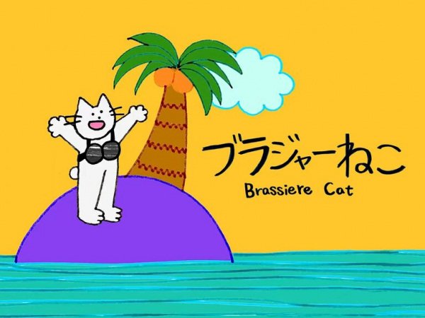 Imagem de destaque 1