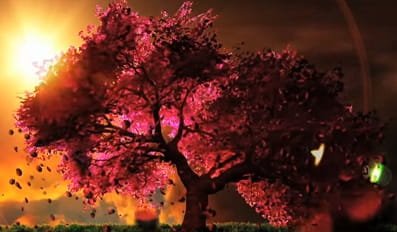 Imagem de destaque 4