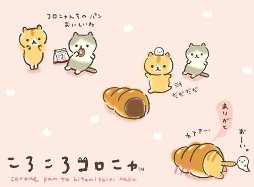 Imagem de destaque 5