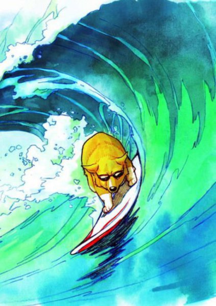 Imagem de destaque 4