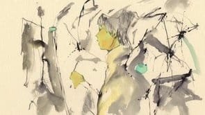 Imagem de destaque 5