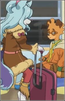 Imagem de destaque 5