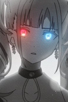 Imagem de destaque 5