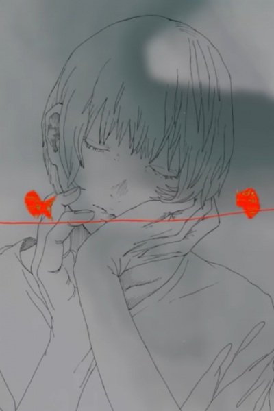 Imagem de destaque 5