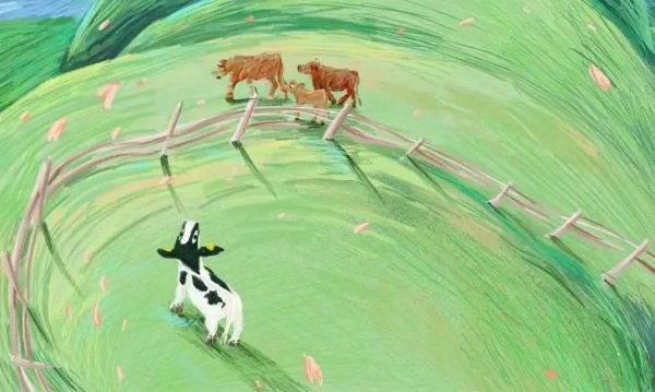 Imagem de destaque 5