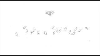 Imagem de destaque 2