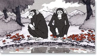 Imagem de destaque 1