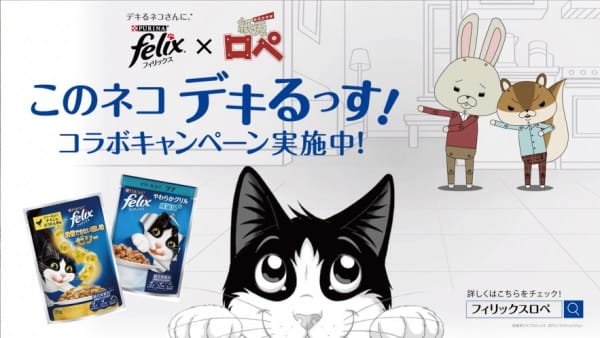 Imagem de destaque 5