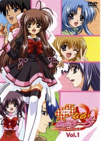 Imagem de destaque 1