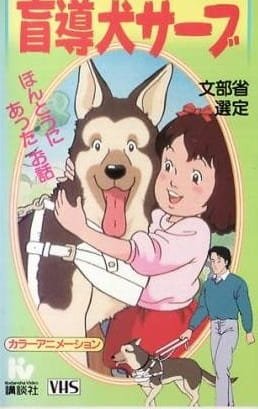 Imagem de destaque 5