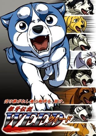 Imagem de destaque 3