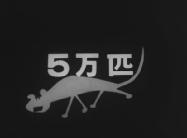 Imagem de destaque 3