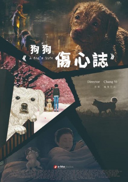 Imagem de destaque 3