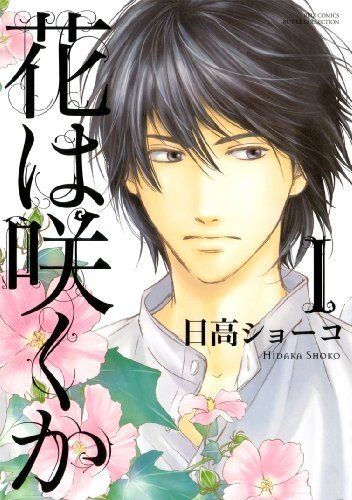 Imagem de destaque 4