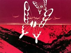 Imagem de destaque 1