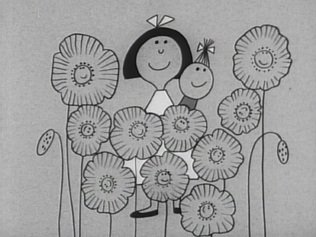 Imagem de destaque 5