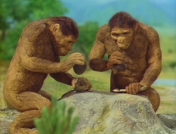 Imagem de destaque 5