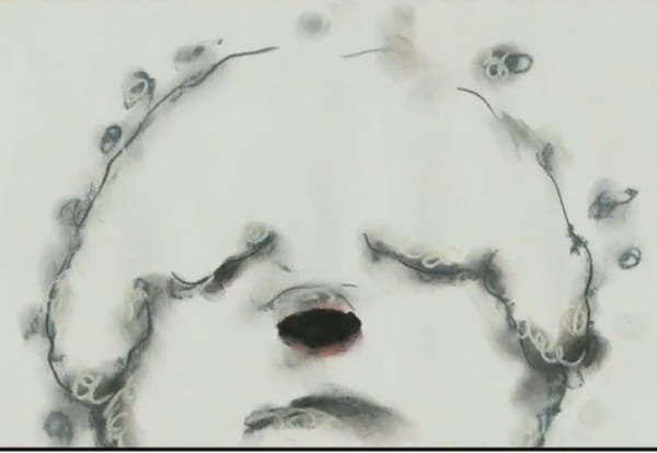 Imagem de destaque 3