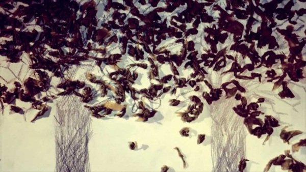 Imagem de destaque 2