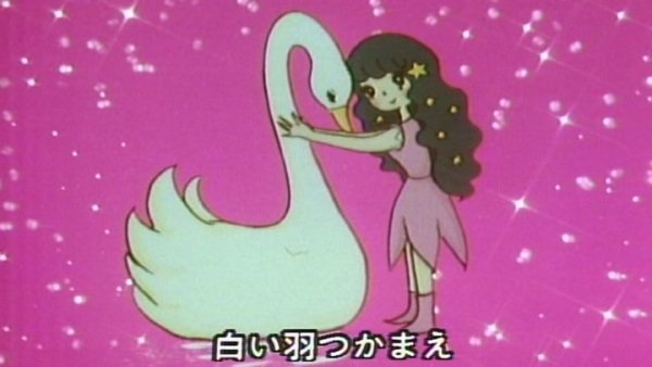 Imagem de destaque 5