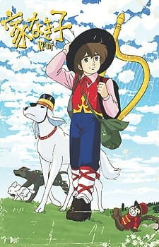 Imagem de destaque 1