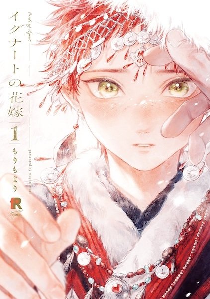 Imagem de destaque 5