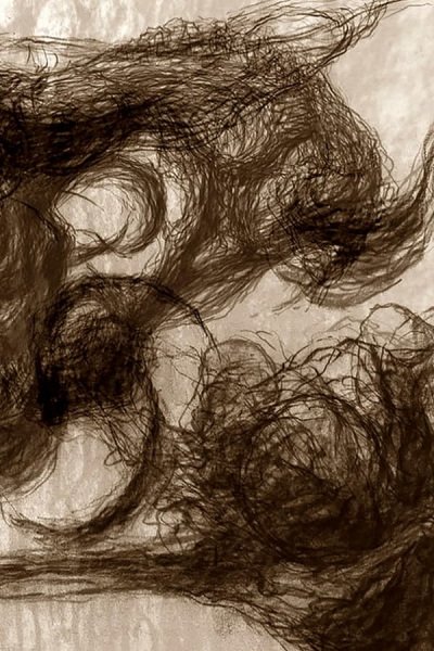 Imagem de destaque 2