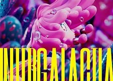 Imagem de destaque 1