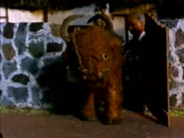 Imagem de destaque 4