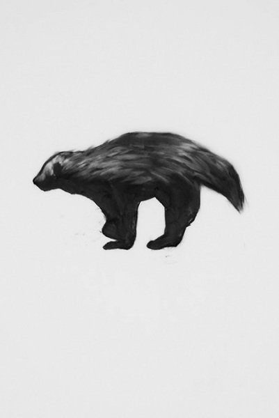 Imagem de destaque 4