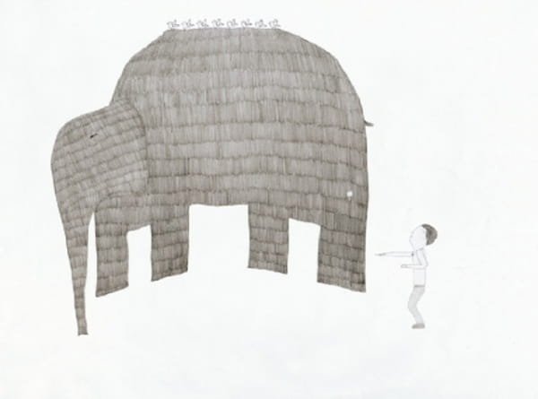 Imagem de destaque 5