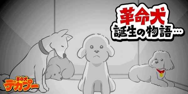 Imagem de destaque 4