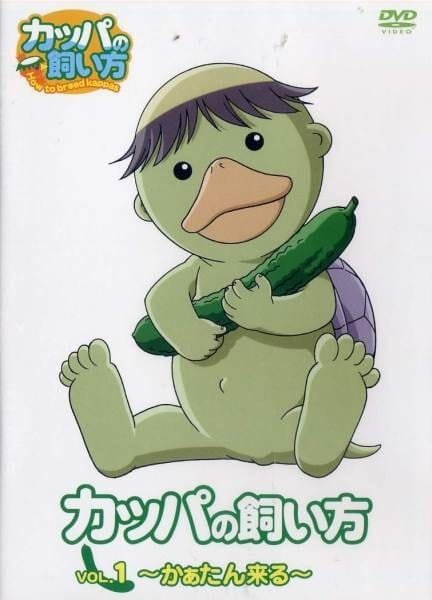 Imagem de destaque 1