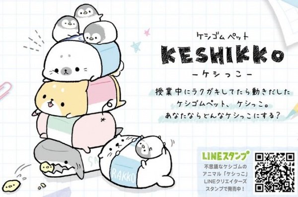 Imagem de destaque 4