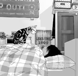 Imagem de destaque 5