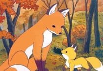 Imagem de destaque 5