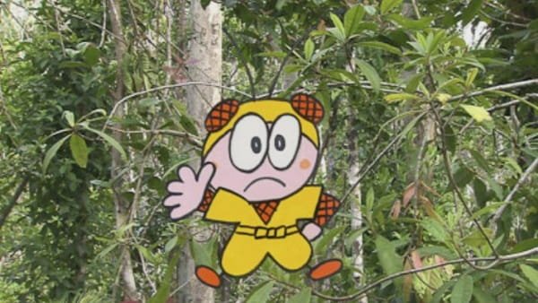 Imagem de destaque 1