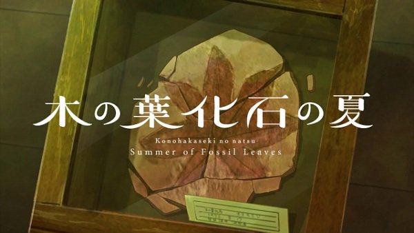 Imagem de destaque 3